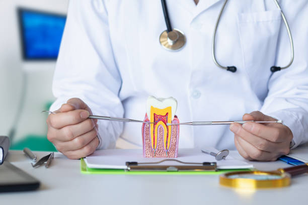 Best Urgent Care for Lost Fillings or Crowns in Cresaptown, MD